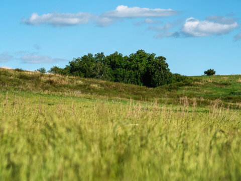 The foothills of the Southern Urals in early summer: the wind stirs the grass in the steppe.