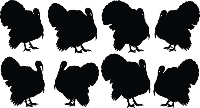 Turkey silhouette collection for thanksgiving day celebration and poultry farm industry design