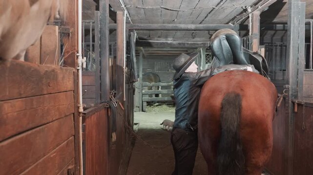 White stablehand placing saddle on horse, lifting leather saddle onto back while bridle rests on stall, hands tightening girth, second horse peering in foreground, focused preparation for tandem