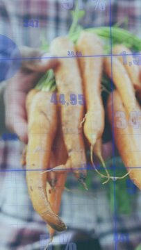 Farmer holding carrots, hand moving forward showing produce under blue grid numbers for agriculture