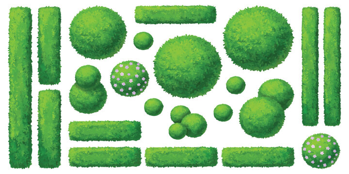 Top view garden hedges and decorative shrubs vector illustration set