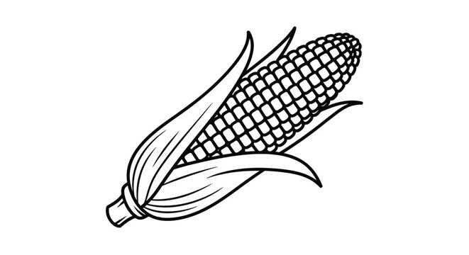 A detailed black and white illustration of a single ear of corn