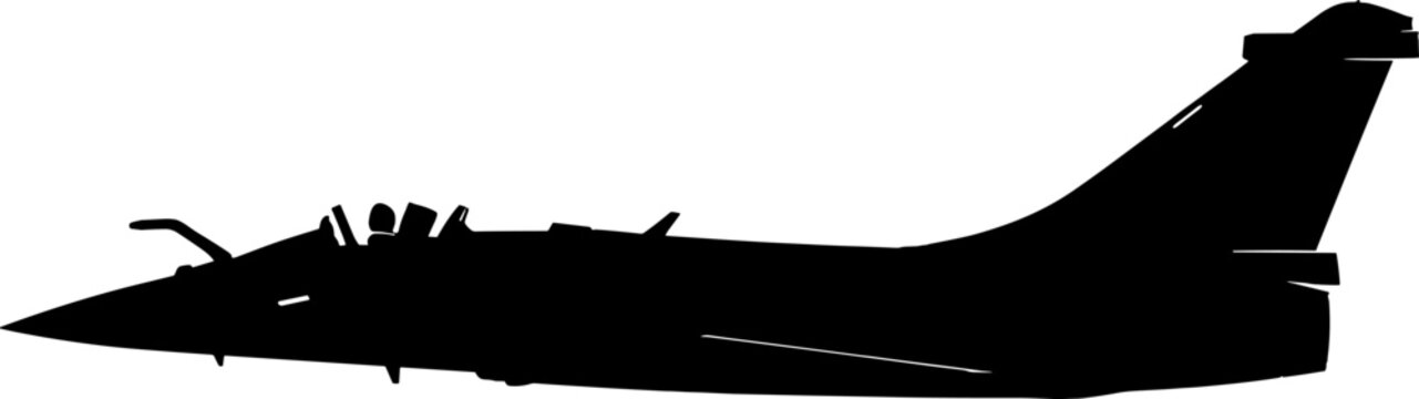 Delta wing multirole fighter jet silhouette featuring canards