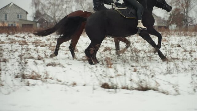 Tandem canter detail in snowy field capturing hoof impact and spray, close perspective on legs and stirrups, emphasis on stride, gait and rhythmic power during cold training session
