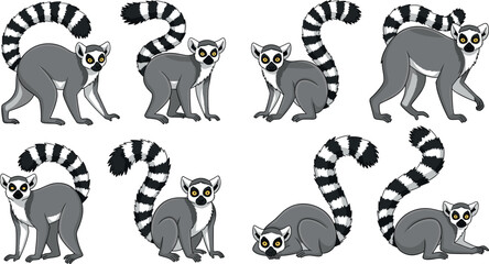 Vector collection of cute ring tailed lemur primate animals in different standing and sitting poses for wildlife design. © Lunavera art