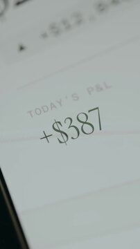 Financial interface displaying a Todays Profit and Loss positive value