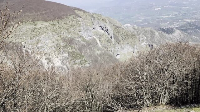 Paesaggio montano con alberi spogli in primo piano e pendii rocciosi sullo sfondo. Una scena naturale dal carattere ruvido e stagionale