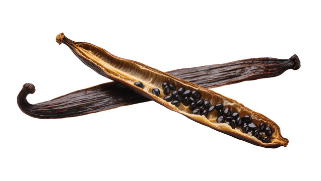 Two dark brown vanilla beans one split open revealing tiny black seeds, isolated on transparent background