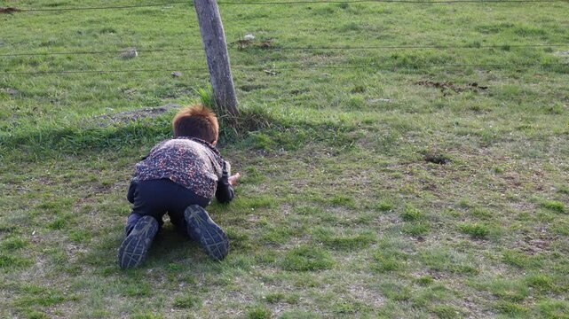 young boy feeding a european ground squirrel (Spermophilus citellus) as the animal approaches his outstretched hand on open grassland in a calm moment of child&ndash;wildlife interaction