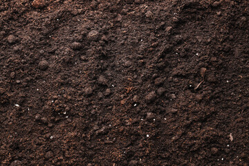 Fototapeta premium Texture of fresh soil as background, top view