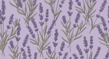 Fototapeta premium Seamless Lavender Pattern: Delicate Floral Illustration on Pastel Purple Background