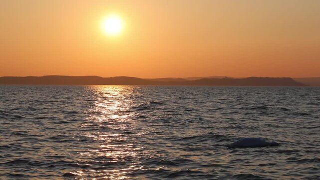 swan gliding across lake balaton in warm sunset light with gentle waves reflecting orange tones along the wide evening horizon