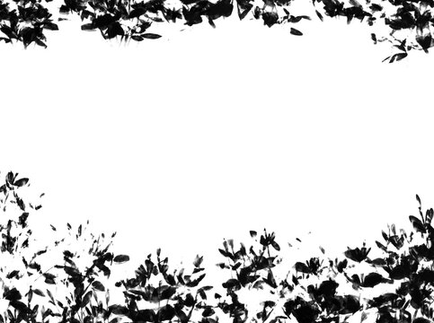 black and white floral frame