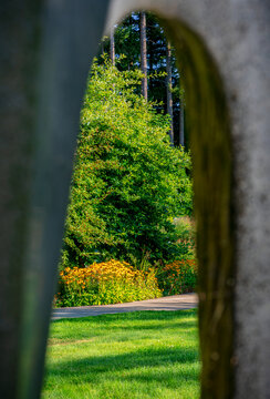 Flowers bloom in a summer garden looking through an arch