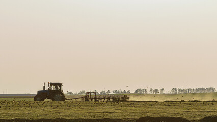 Fototapeta premium Tractor pulling finger wheel rakes with a flock of starlings, low angle view and copy space
