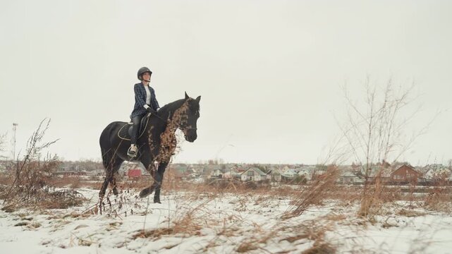 Horse travel scene. Galloping horse beneath vast winter sky. Silhouette of rider moving through snowy open country. Horse in swift stride crossing frostcovered fields under wide and open sky