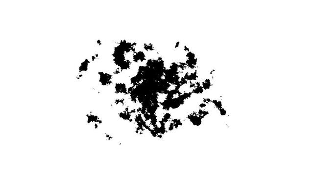 Abstract  Liquid Splash or Ink Blot Explosion Isolated 