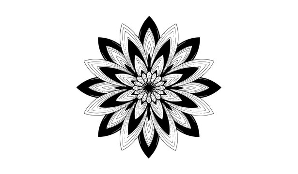 Abstract floral symmetry vector black white petal flower pattern design