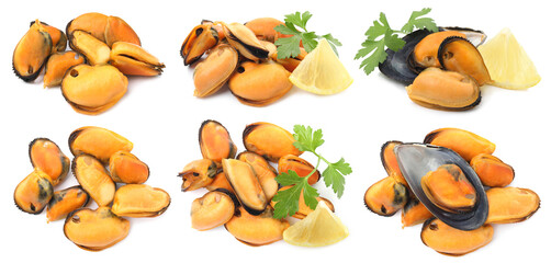Naklejka premium Fresh mussels with parsley and lemon isolated on white, collage