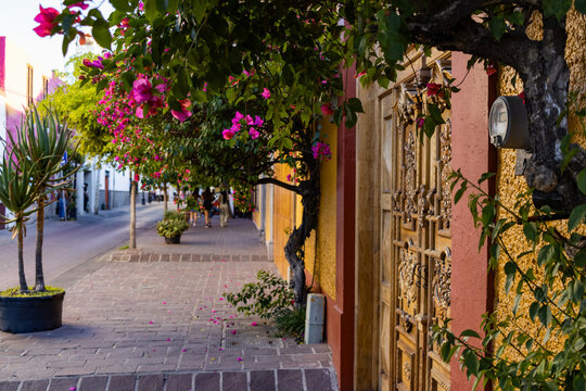 Calles de San Pedro Tlaquepaque Jalisco Pueblo M&aacute;gico