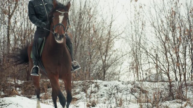 Rider on bay horse trotting through snowy field near bare trees saddle and bridle visible slow instructional pace focusing on posture and balance during lesson serene training atmosphere with soft