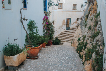 Spain, Altea city. Narrow cobblestone alleyway with potted plants and whitewashed walls leading to a staircase in a Mediterranean village setting © JuLady_studio
