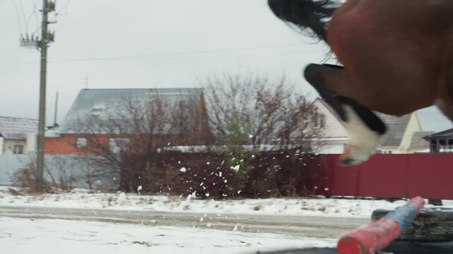 Caucasian mounted patrol on brown horse trotting along snowy roadside, village rooftops and utility poles in view, steady posture, patrol gear and saddle visible, quiet winter morning with watchful,