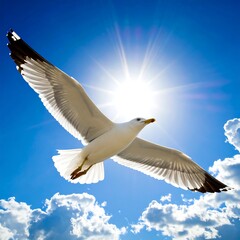 Fototapeta premium A seagull soars gracefully against a bright blue sky, sunlight streaming behind its spread wings, a symbol of freedom
