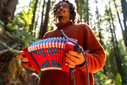 playing accordion in forest