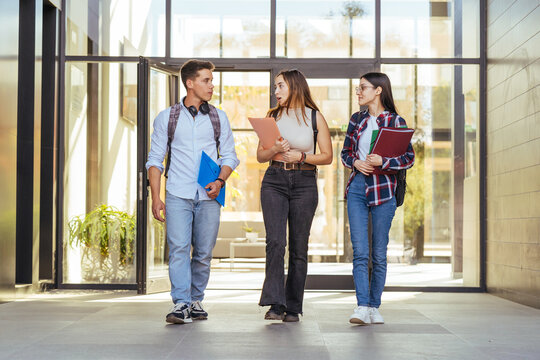 Intelligent students strolling while discussing assignment