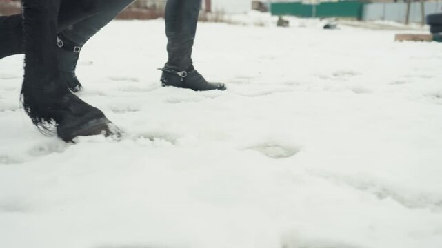 Equine hoof prints on frostcovered terrain. Horse hooves leave distinct marks on cold winter surface of snow. Tracks made by hooves can be seen across icy and snowy winter landscape