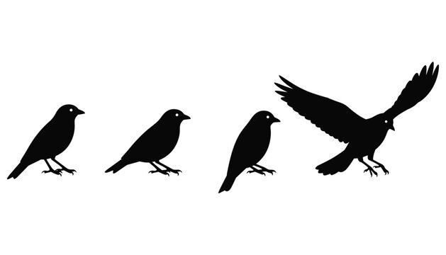 Set of minimalist bird silhouettes featuring various poses including standing and taking flight for nature logos and garden graphics