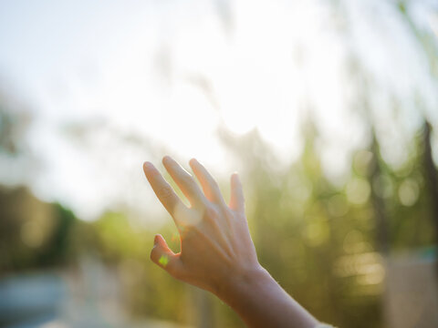 Woman's hand on the background of sun rays and greenery in springtime 