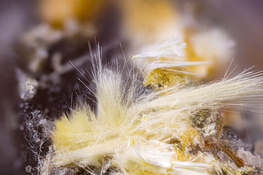 fibrous Mimetite var Prixite. Specimen from Les Mol&eacute;rats, Saint Prix, Sa&ocirc;ne et Loire, France. Micro photography extreme close-up. microscope mineral crystal photography for Scientific use.