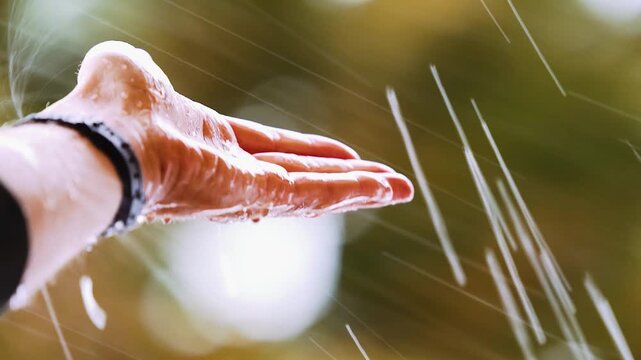 Hand im starken Regen mit Wind und unscharfer Palme im Hintergrund tropisches Wetter und Sturm Atmosph&auml;re