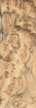 Macro photo of wood cross section Wood grain texture background