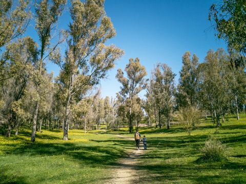 Rural path with woman and child outdoors