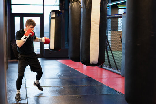 Male Boxer Training with Heavy Bags in Professional Boxing Gym