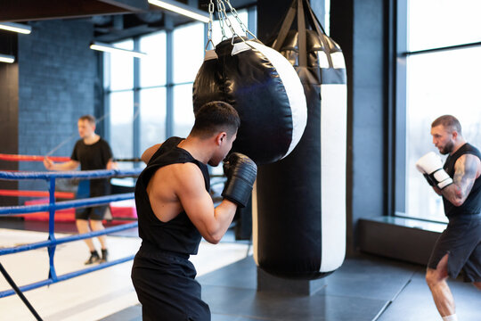 Multiple Male Boxers Training with Heavy Bags in Modern Gym