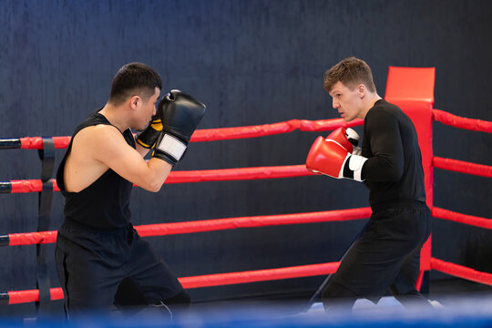 Two Male Boxers Sparring in Boxing Ring During Training