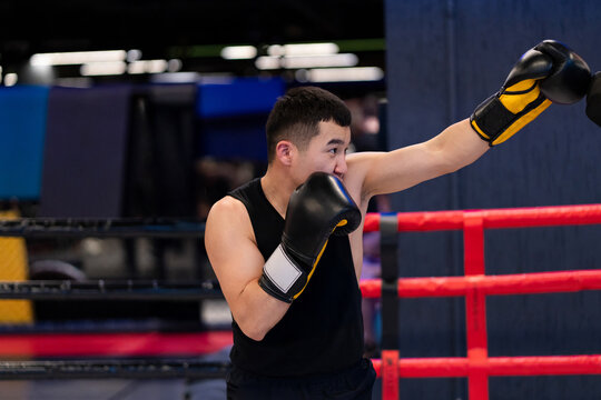 Male Asian Boxer in Guard Stance in Boxing Ring During Training