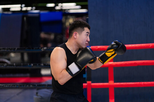 Male Asian Boxer in Guard Stance in Boxing Ring During Training