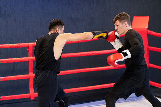 Two Male Boxers Sparring in Boxing Ring During Training