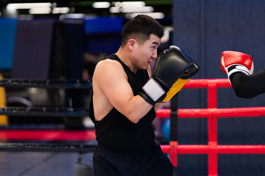 Male Boxer Sparring in Boxing Ring with Red Ropes