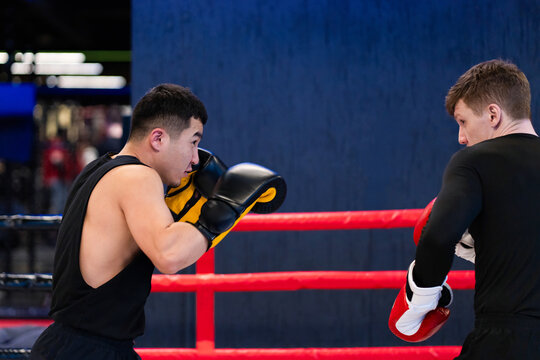 Two Male Boxers Sparring in Boxing Ring During Training