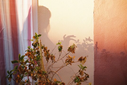 Hand Shadow Play on 35mm Film