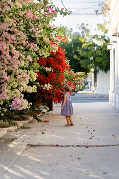 little girl in front of a giant flower bush