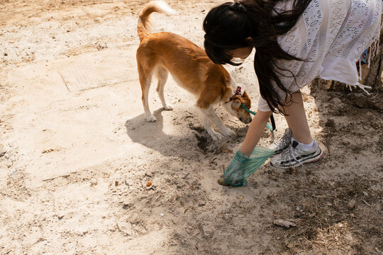 Responsible Pet Ownership in Action
