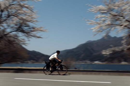 Cycling in Japan when the cherry blossoms are in bloom