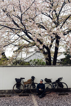 Cycling in Japan when the cherry blossoms are in bloom